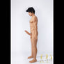 Realistic Brad male sex doll from MyRealDolls, showing life-like features and detailed torso in a close-up image.