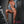 Sex Doll - [title] - Real Doll