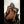 ABRIANA + Options Sex Dolls