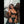 ABRIANA + Options Sex Dolls