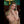 ADALYN + Options Sex Dolls