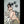 AGATA + Options Sex Dolls