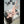 AGATA + Options Sex Dolls