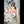 AGATA + Options Sex Dolls