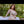 Amy + Options Sex Dolls