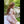 Amy + Options Sex Dolls