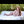 Amy + Options Sex Dolls