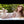 Amy + Options Sex Dolls