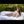 Amy + Options Sex Dolls