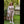 Amy + Options Sex Dolls