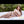 Amy + Options Sex Dolls