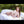 Amy + Options Sex Dolls