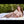 Amy + Options Sex Dolls