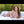 Amy + Options Sex Dolls