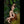 Andi Luxury Doll Sex Dolls