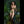 Andi Luxury Doll Sex Dolls