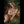 Andi Luxury Doll Sex Dolls