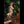 Andi Luxury Doll Sex Dolls