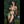 Andi Luxury Doll Sex Dolls