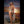 Ania Luxury Doll Sex Dolls