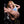 Aspen + Options Sex Dolls