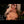 Berengere + Options Sex Dolls