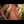Berengere + Options Sex Dolls