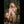 Blessing Luxury Doll Sex Dolls