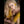 Blessing Luxury Doll Sex Dolls