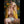 Blessing Luxury Doll Sex Dolls