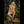 Blessing Luxury Doll Sex Dolls