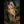 Blessing Luxury Doll Sex Dolls