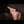 CARRIE + Options Sex Dolls