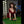 Catalina Sex Doll Sex Dolls