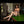 Catalina Sex Doll Sex Dolls