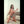 CHER + Options Sex Dolls