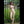 Cloe Realistic Sex Doll Sex Dolls