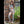 Cloe Realistic Sex Doll Sex Dolls