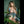 Dafne Luxury Doll Sex Dolls