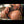 DELILAH + Options Sex Dolls