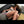 Divina Sex Doll Sex Dolls