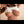 Divina Sex Doll Sex Dolls