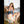 Emilia Luxury Doll Sex Dolls