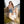Emilia Luxury Doll Sex Dolls