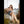 Emilia Luxury Doll Sex Dolls