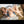 Emilia Luxury Doll Sex Dolls