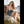 Emilia Luxury Doll Sex Dolls