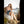 Emilia Luxury Doll Sex Dolls