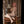 Envy Sex Doll Sex Dolls