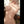 EVA + Options Sex Dolls